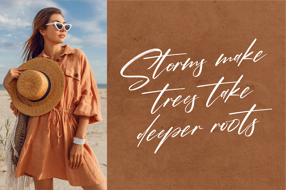 Pantherdam Signature Signature Brush, a Script Font by Letterena Studios Script (Photo 10 of 15)