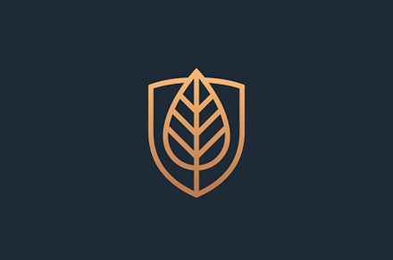 Leaf and shield logo design.