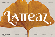 Renigma, a Serif Font by Aluyeah Studio (Thumbnail 3 of 15)
