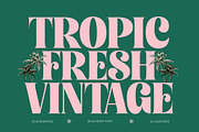Tropic Fresh Bold Vintage Serif, a Serif Font by timelesstype.co (Thumbnail 1 of 20)