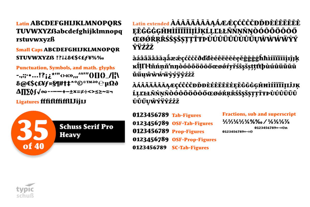 SchussSerifProHeavy No.35 (1 Font) preview 3