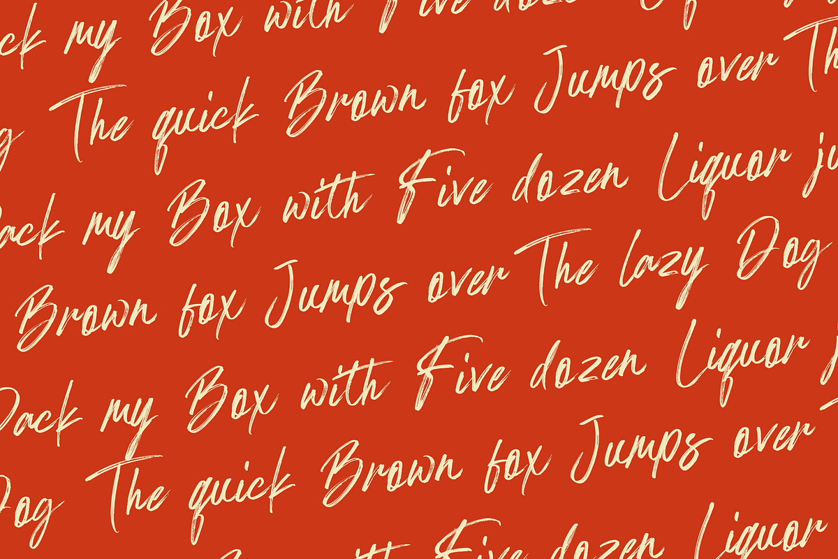 Palmetas, a Handwritten Font by Gatype (Photo 5 of 10)