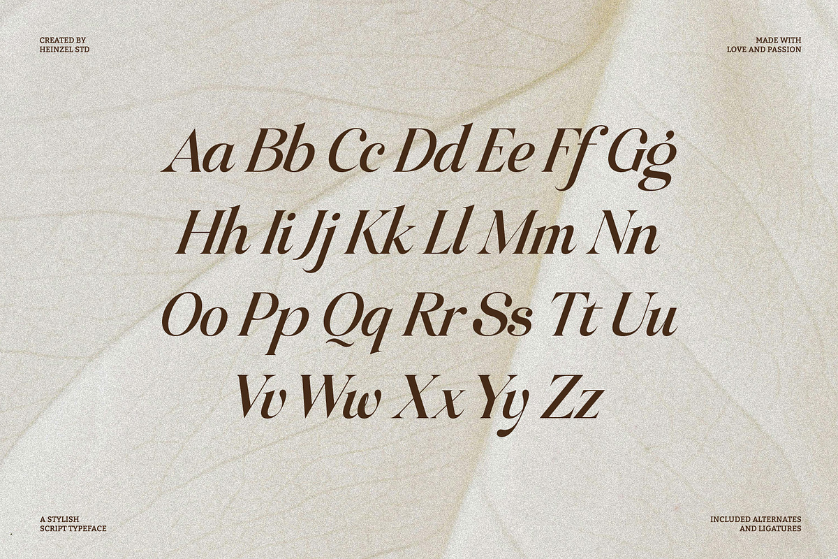 Raillouise Stylish Script Font, a Script Font by Heinzel Std (Photo 11 of 16)