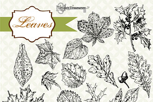 Vintage Leaves Clipart & Brushes