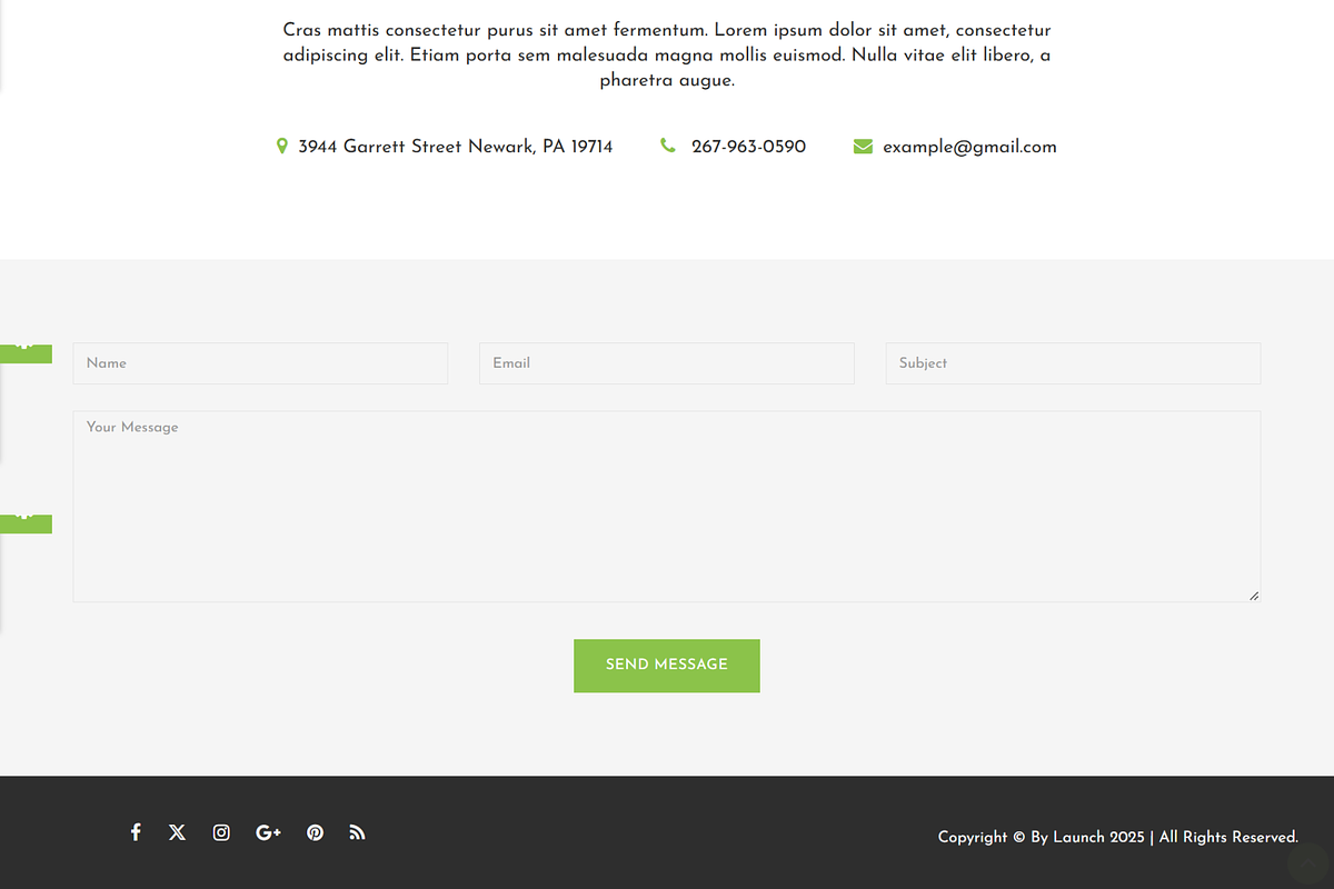 Launch - Digital Marketing HTML, a HTML Template by Themeplaza (Photo 6 of 6)