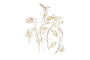 Lunaria branches, an Illustration by Watercolor life (Thumbnail 3 of 7)
