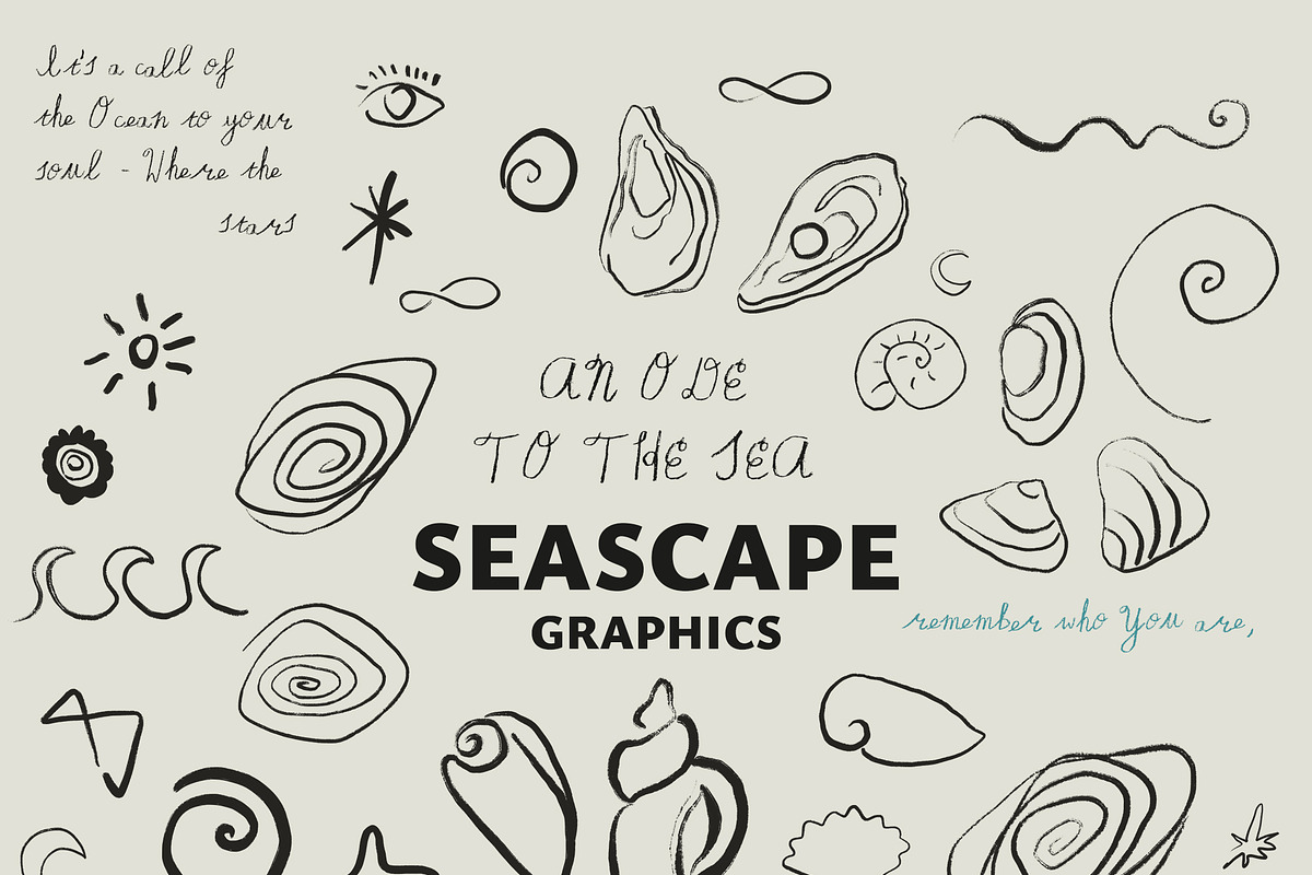 SEASCAPE Line, Seashells & Textures, an Object Graphic by Lana Elanor (Photo 3 of 11)