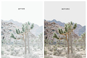 Natural Lightroom Mobile Preset, an Action Add-On by Lux Light (Thumbnail 23 of 28)