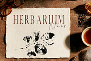 Hand-crafted Herbal Imptints, an Object Graphic by Dervik Art Store (Thumbnail 10 of 10)