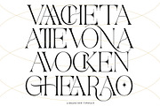 Aviluero Rasnora | 27 Font Files, a Serif Font by IM Studio (Thumbnail 2 of 13)
