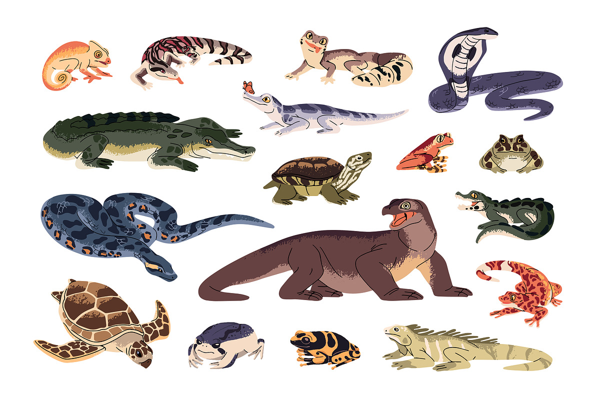 Reptiles and amphibia animals set, an Animal Illustration by PaperTrident (Photo 1 of 3)