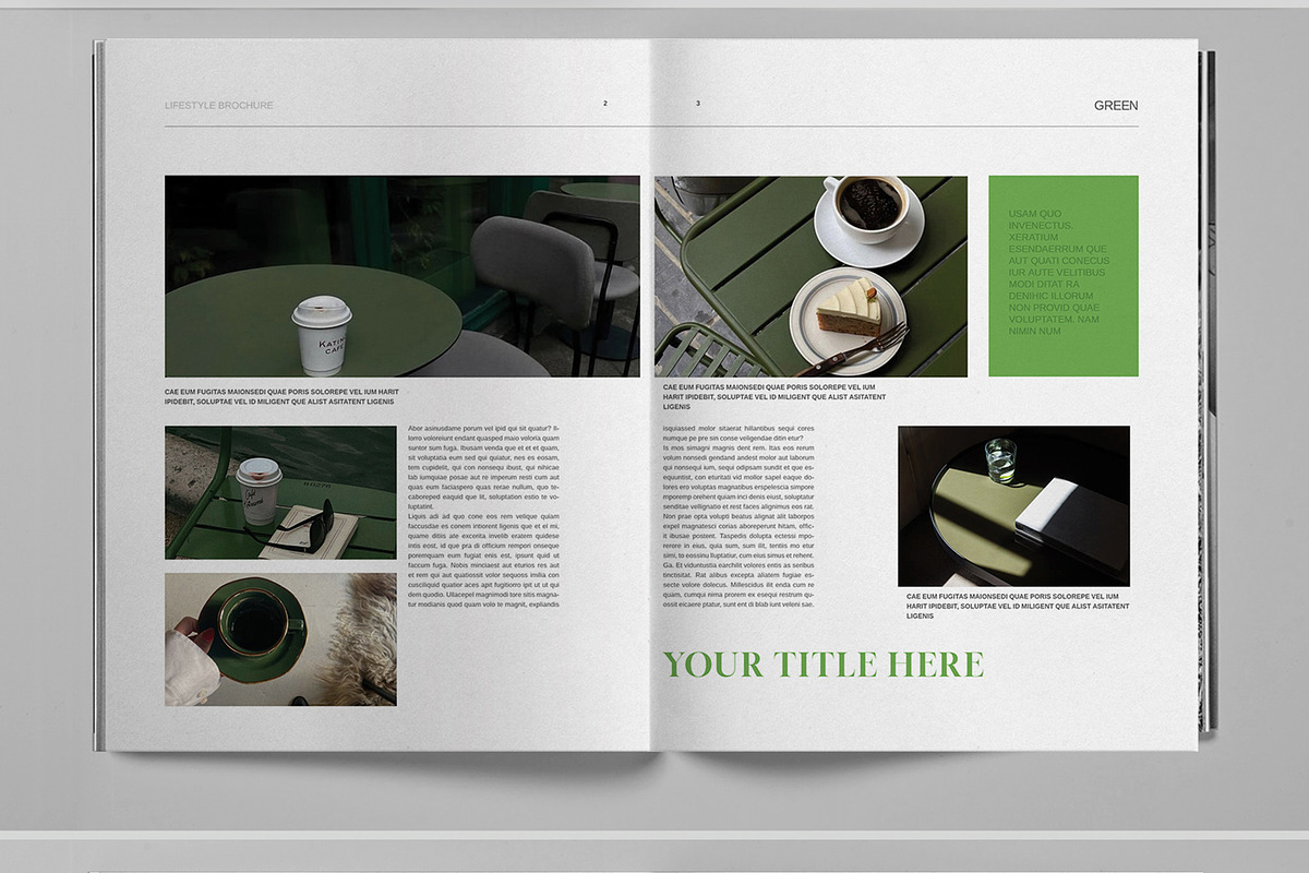 Green Studio Brochure Template, a Brochure Template by Boris Cupac (Photo 3 of 7)