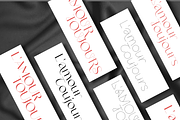 Erotique Sans - 10 fonts, a Sans Serif Font by Zetafonts (Thumbnail 4 of 18)