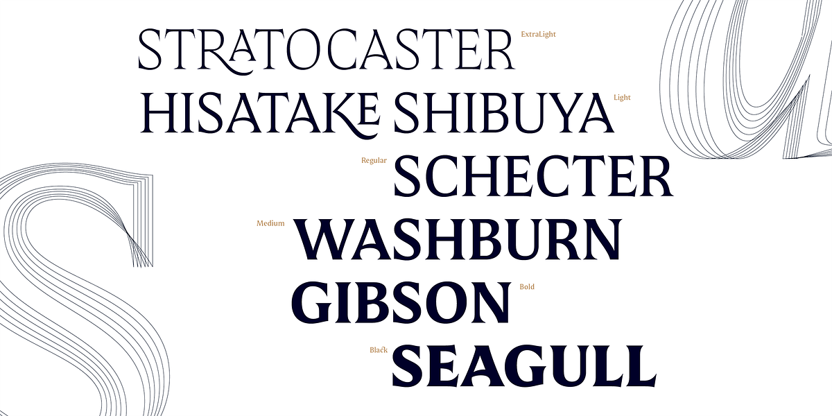 Mestiza, a Serif Font by Lechuga Type (Photo 10 of 16)