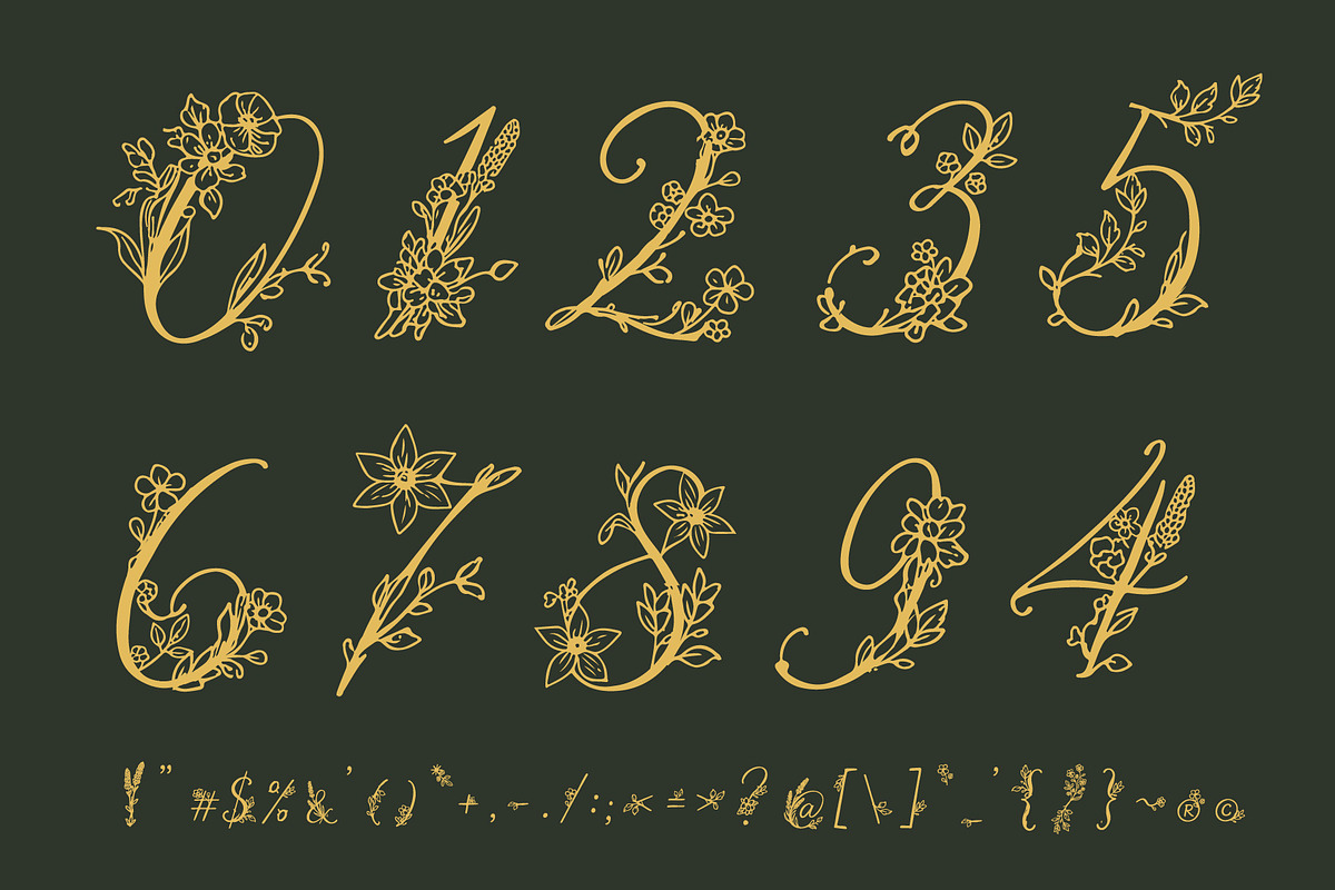 MiRohlWay - Floral Elegant Script, a Script Font by HypeWorksCo (Photo 20 of 20)