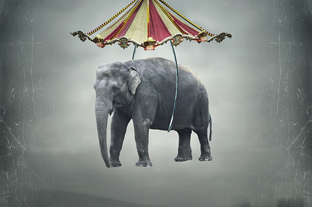 Elephant Flying preview 6
