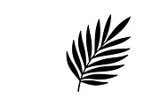 Stylish tropical palm wall decor, an Illustration by Amazin_art (Thumbnail 4 of 33)