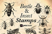 Beetle & Insect Procreate Stamps, a Brush Add-On by CreativeProBrushes (Thumbnail 1 of 5)