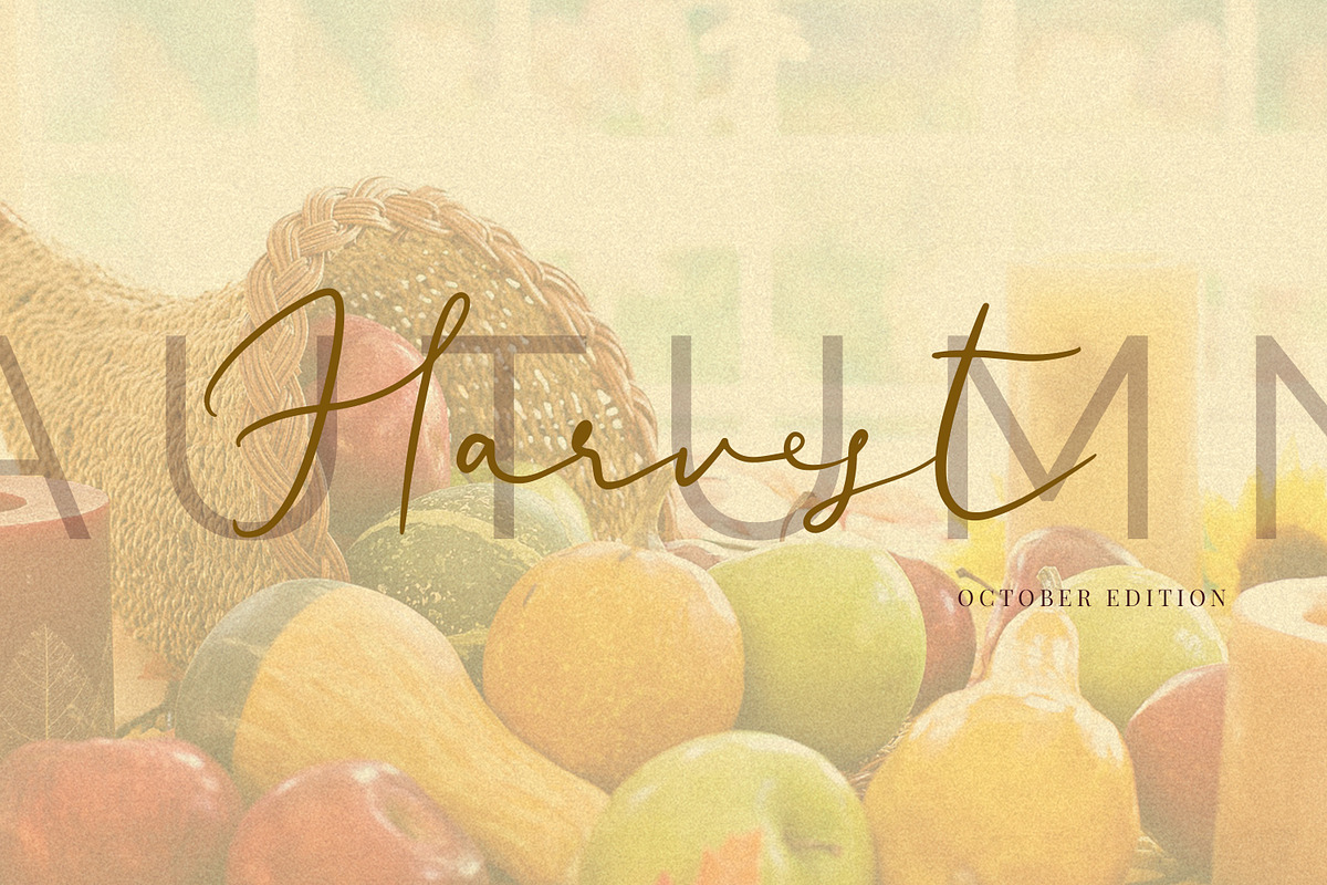 Ametrine, casual font, a Script Font by Art pages (Photo 13 of 16)