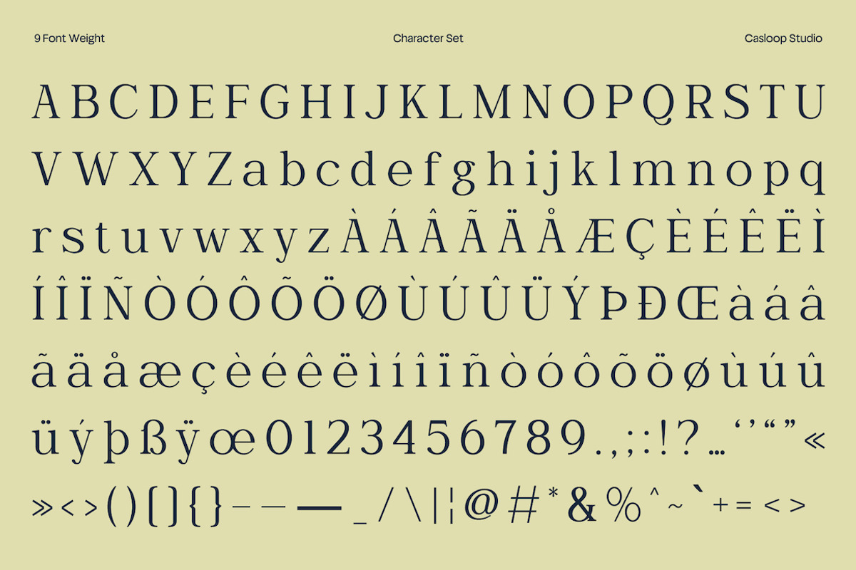 Wornella – Luxury Modern Serif, a Serif Font by Casloop Studio (Photo 7 of 10)