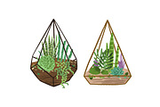 Florarium composition, a Decorative Illustration by Good Studio (Thumbnail 3 of 3)