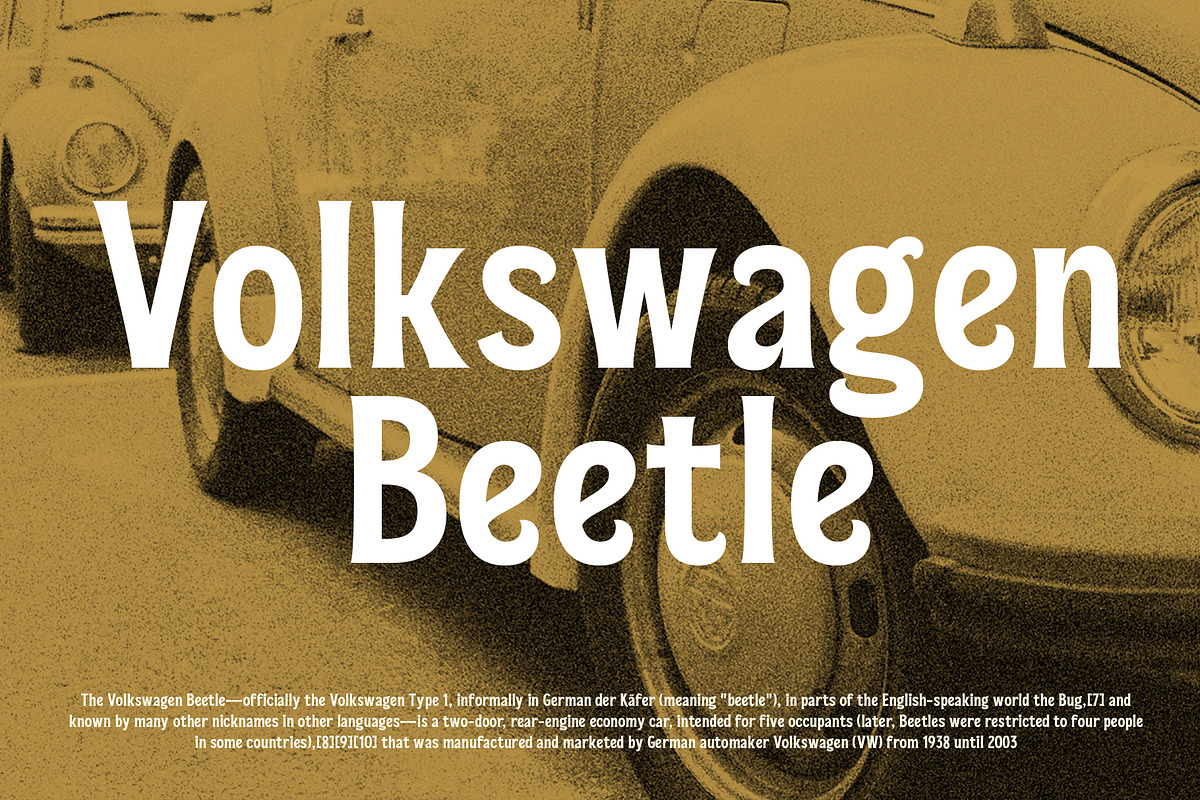 Bradia, a Serif Font by Locomotype (Photo 3 of 12)
