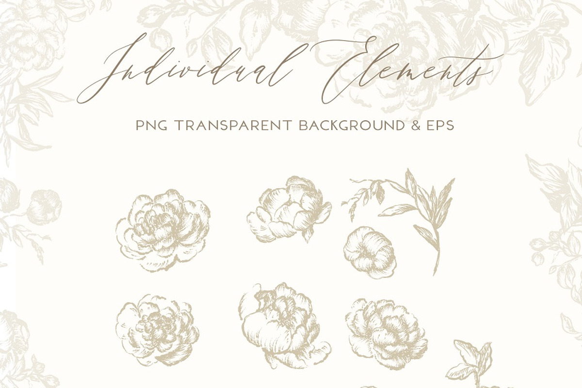 Vintage Peony - Flowers Line Art, a Decorative Illustration by BlumenSoul (Photo 7 of 9)
