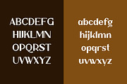 Wiselly Modern Luxury Serif, a Sans Serif Font by Artiveko (Thumbnail 5 of 8)