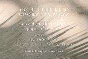 Raligur Serif Font, a Serif Font by Hishand Studio (Thumbnail 8 of 10)