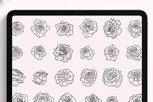 Procreate Roses Stamps