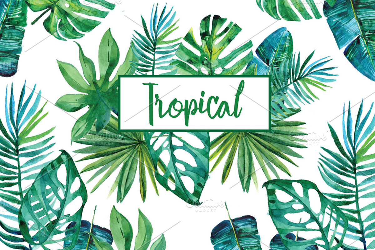 Watercolor tropical leaves, an Illustration by Olesya Morokhovets (Photo 1 of 8)