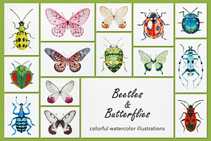 Beetles & Butterflies