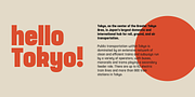 Yoshida Sans, a Sans Serif Font by TypeUnion (Thumbnail 8 of 10)