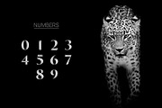 Invictus - Serif Typeface, a Sans Serif Font by Graphicado (Thumbnail 6 of 13)