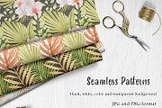 Tropical dried leaves set, an Illustration by svetodesign (Thumbnail 10 of 16)