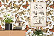 Seamless Butterflies Moth insects, a Pattern Graphic by Vintage (Thumbnail 7 of 13)