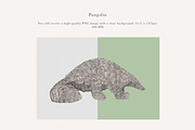 Pangolin Illustration - PNG, an Animal Illustration by LaurenFittonIllustration (Thumbnail 2 of 7)