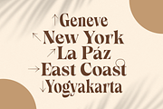 Callgest Display Font - 3 Styles, a Serif Font by Martype Co (Thumbnail 6 of 14)