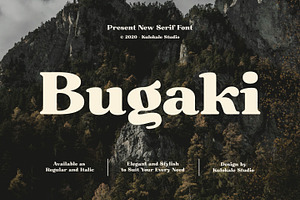 Bugaki - Elegant Serif Font, a Serif Font by Kulokale