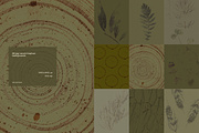 Forest floor nature backgrounds, a Background Graphic by viktoriiavk (Thumbnail 7 of 8)