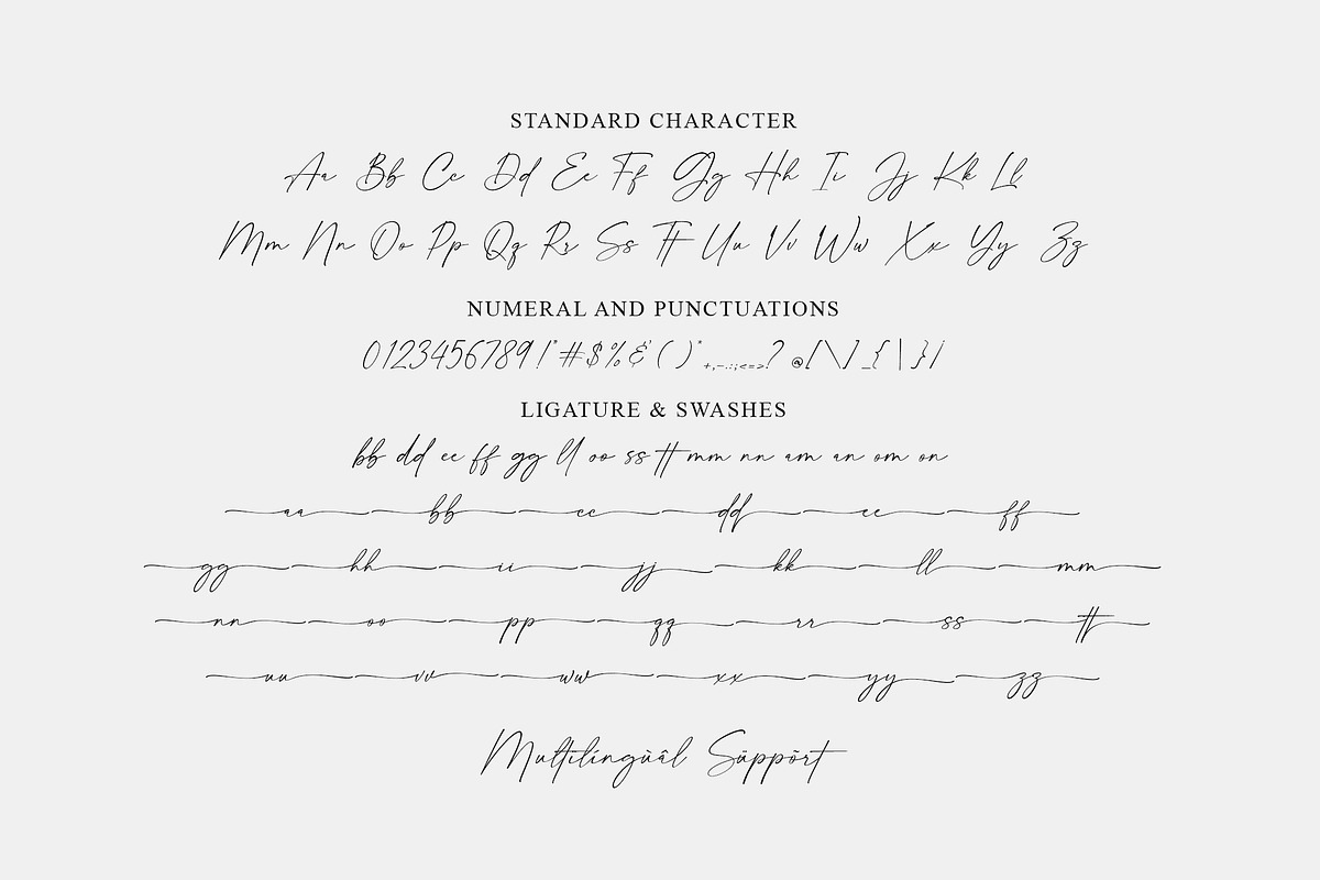 Fellaure - Modern Script, a Script Font by MJB Letters (Photo 10 of 10)