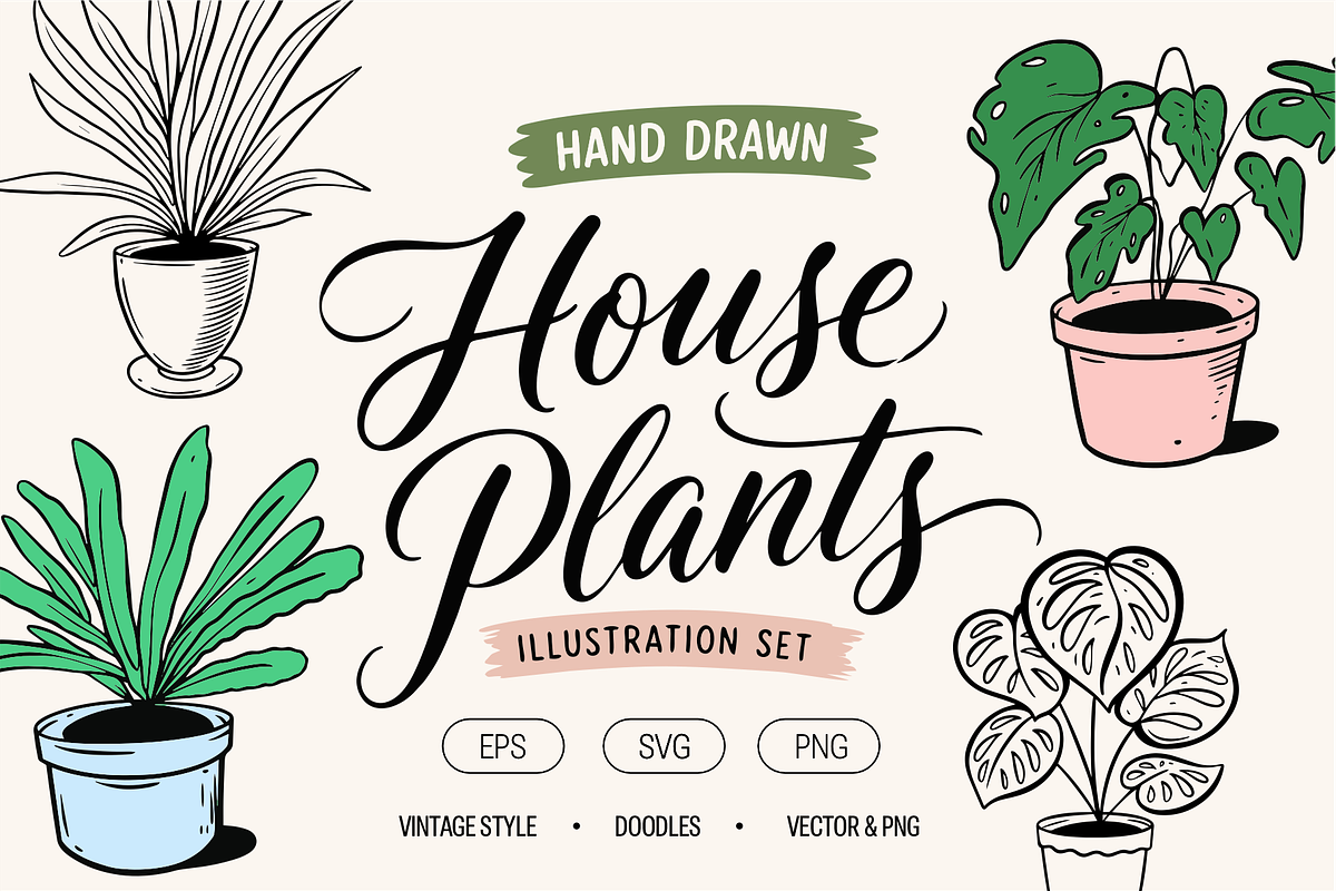 House Plant Doodles & Clipart, an Object Illustration by Oktyabr (Photo 1 of 6)