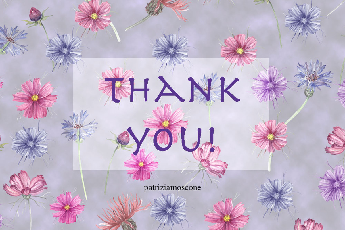 Wildflowers, an Illustration by patriziamoscone (Photo 10 of 10)
