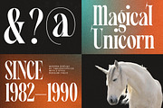 Angalter Modern Display Serif, a Script Font by timelesstype.co (Thumbnail 11 of 20)