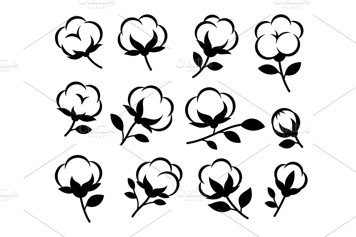 Set of cotton plant flowers and, an Illustration by GraphiShop