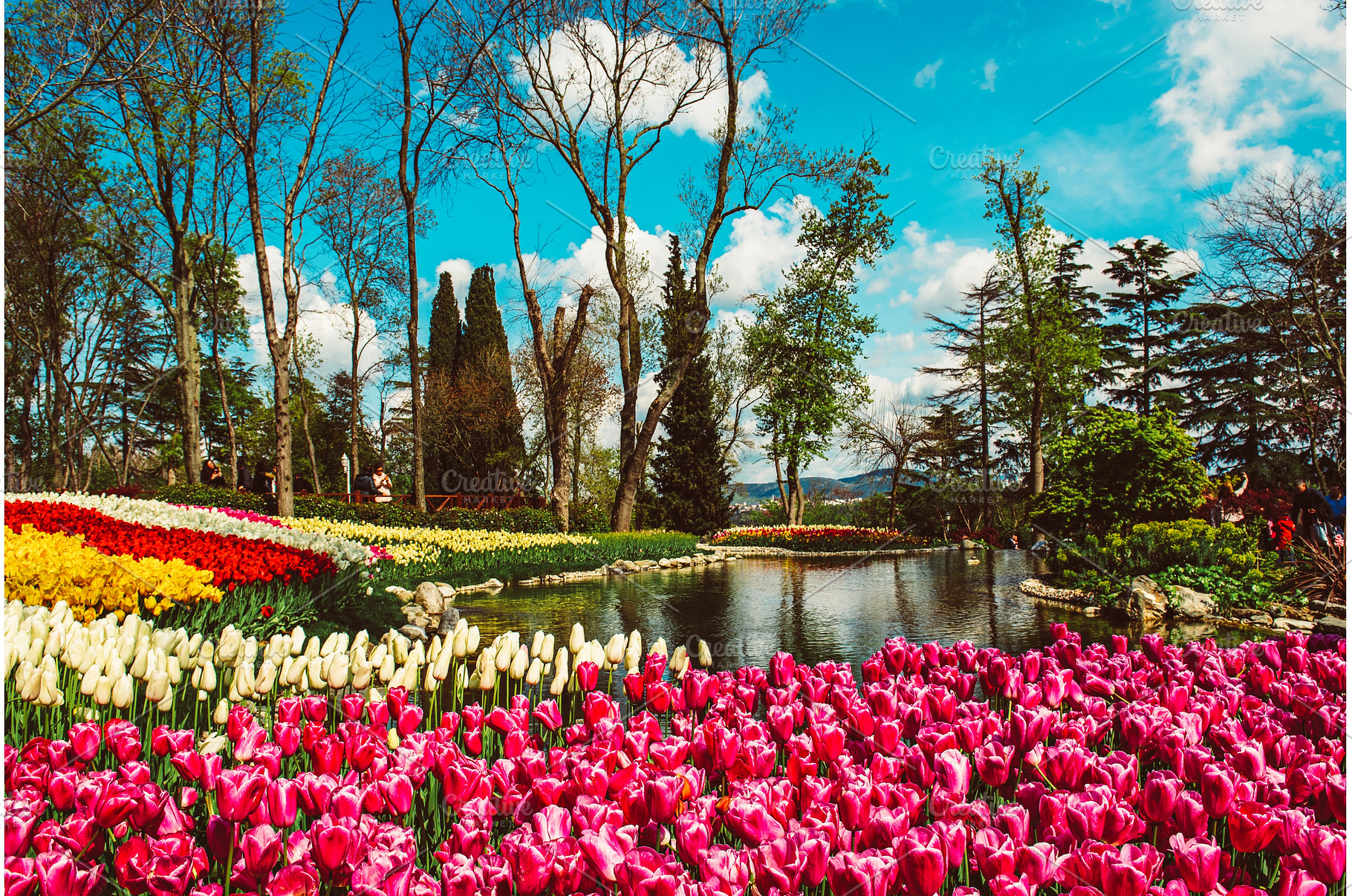 Emirgan Park, Istanbul, a Nature Photo by Nature and travel
