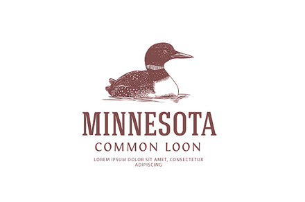 USA Birds - Minnesota - Common Loon, a Branding & Logo Template by vatesdesign