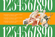 Bastfeng Skylight Modern Serif, a Serif Font by timelesstype.co (Thumbnail 11 of 20)