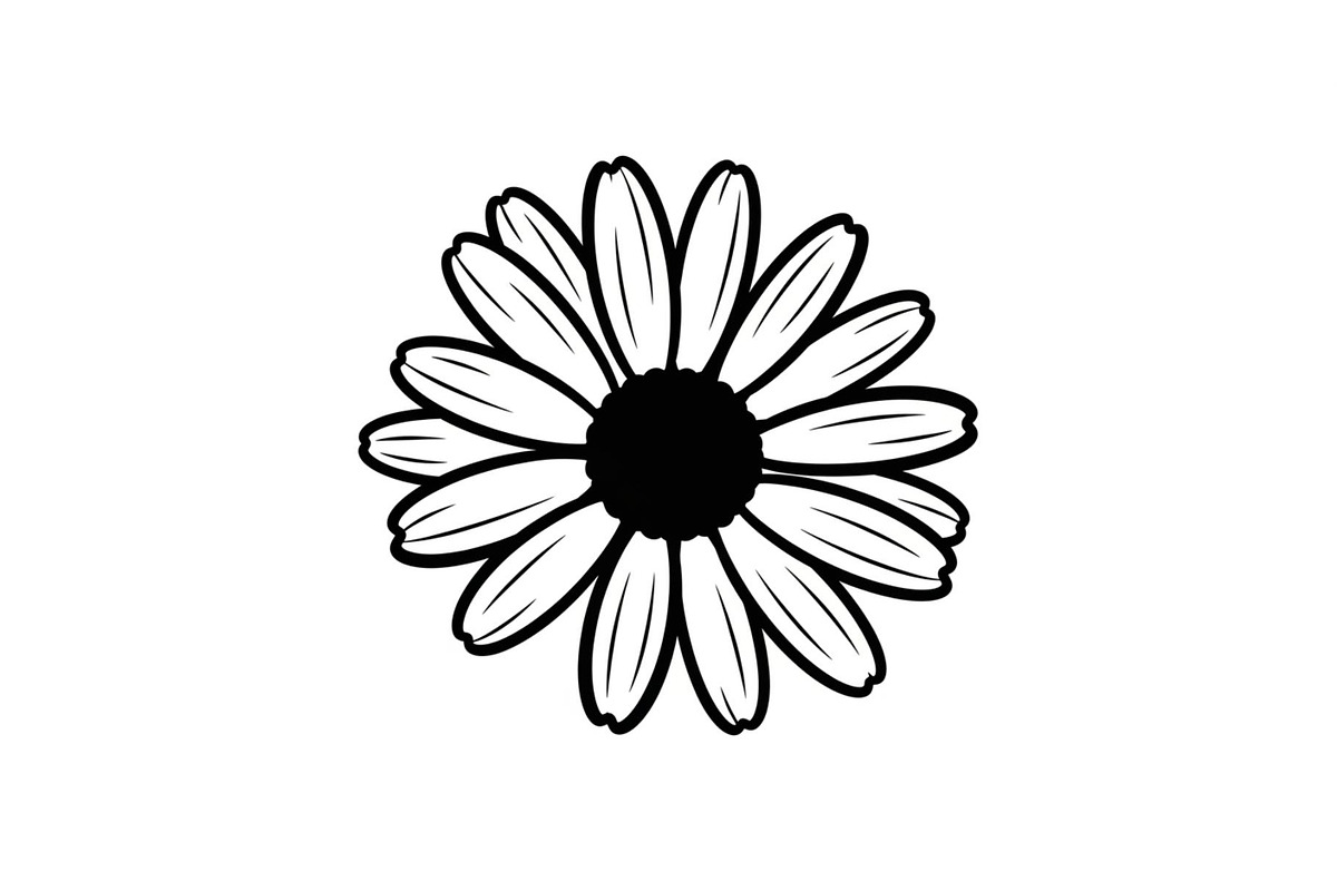 Daisy Flower Line Art Vector Bundle0, an Illustration by jahid234 (Photo 15 of 51)