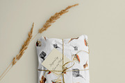 Seashells watercolor illustrations, an Illustration by JulShuman (Thumbnail 6 of 8)
